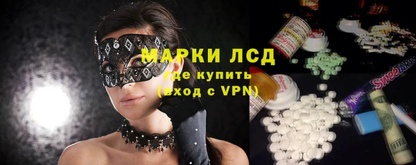 дурь Бородино