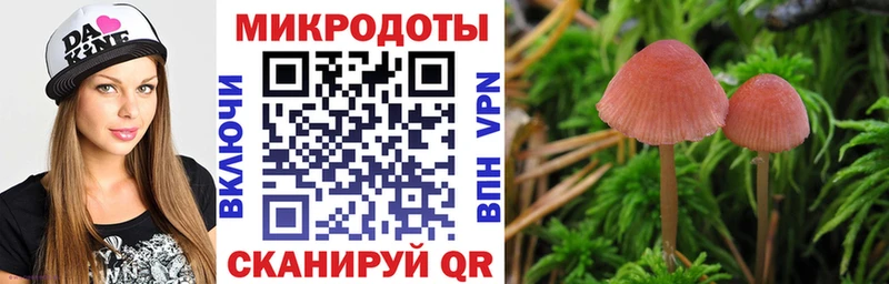 Псилоцибиновые грибы мицелий  Северобайкальск 
