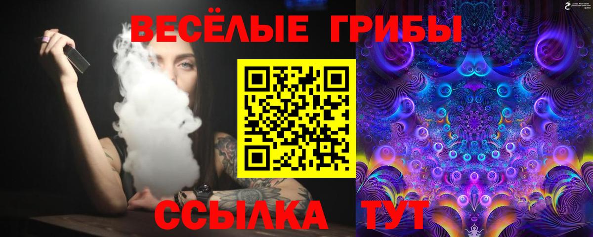 Псилоцибиновые грибы Magic Shrooms  Вход с VPN  Северобайкальск 