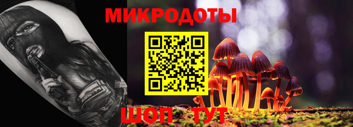 Псилоцибиновые грибы MAGIC MUSHROOMS Северобайкальск